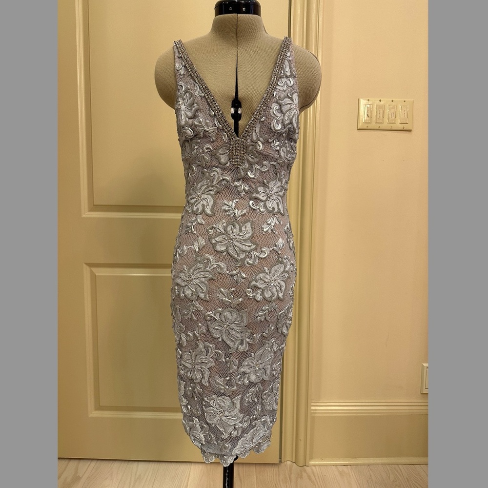 Valiant Paris Hand Painted Grey Dress with Swarovski crystals